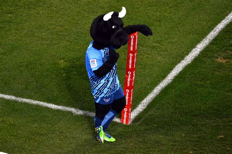 File:Blue Bulls Mascot Bulletjie 013.jpg - Wikimedia Commons