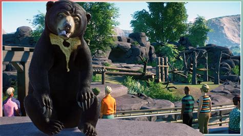 Sun Bear Habitat | Sequora Zoo | Planet Zoo Speed Build - YouTube