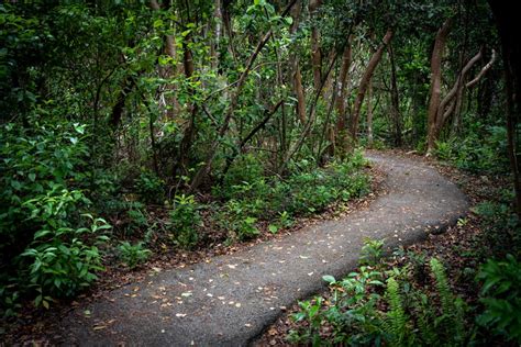 Hike or Bike Black Creek Trail Across Fleming Island