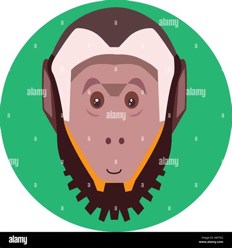 Capuchin Monkey Illustration Stock Vector Image & Art - Alamy