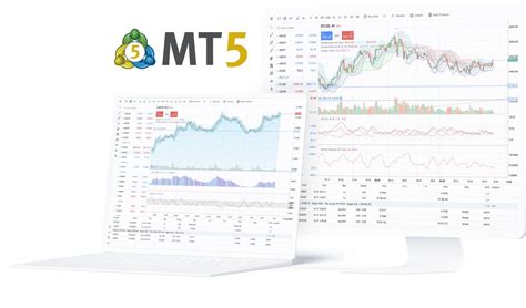 MT5のインストール方法を画像付きで詳しく解説｜初心者向け