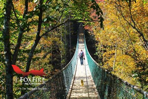 Foxfire Mountain Swinging Bridge (Sevierville) - All You Need to Know BEFORE You Go - Updated ...