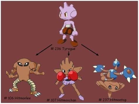 Tyrogue's evolutions. | Pokemon pictures, Dragon ball art, Pokemon