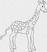 Zoo Giraffe Divyajanani Kleurtekeningen Olds Crafter 4kids Sketch  sketch template