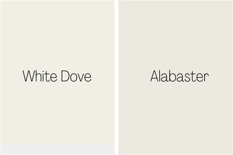 White-Dove-vs-Alabaster