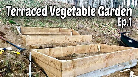 How To Build A Terraced Vegetable Garden - Braincycle1