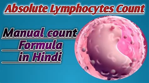 Absolute Lymphocytes Count | Lymphocytes count formula | Manual Lymphocytes count - YouTube