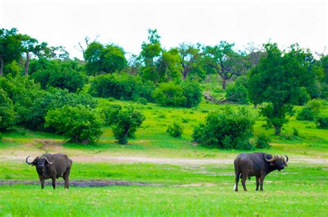 Thailand National Parks: A Thai's Beauty - ThailandReach.com