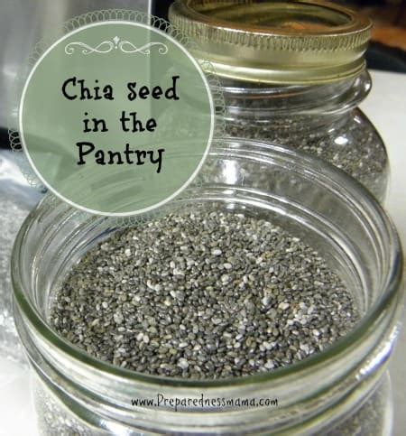 Chia Seed Storage Methods | PreparednessMama