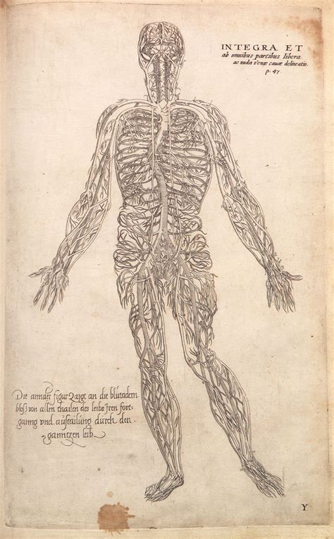 Andreas Vesalius, Anatomía, Siglo XVI,1543 | Wellcome collection, Human body, Mixed media collage