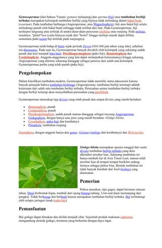 Gymnospermae | PDF