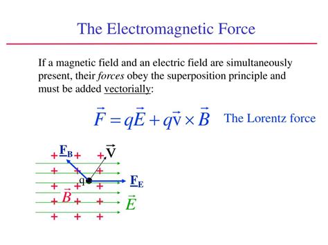 PPT - Magnetic Fields Chapter 29 (continued) PowerPoint Presentation, free download - ID:6392721