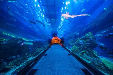 Entrance to Dubai Aquarium - Introducing Dubai