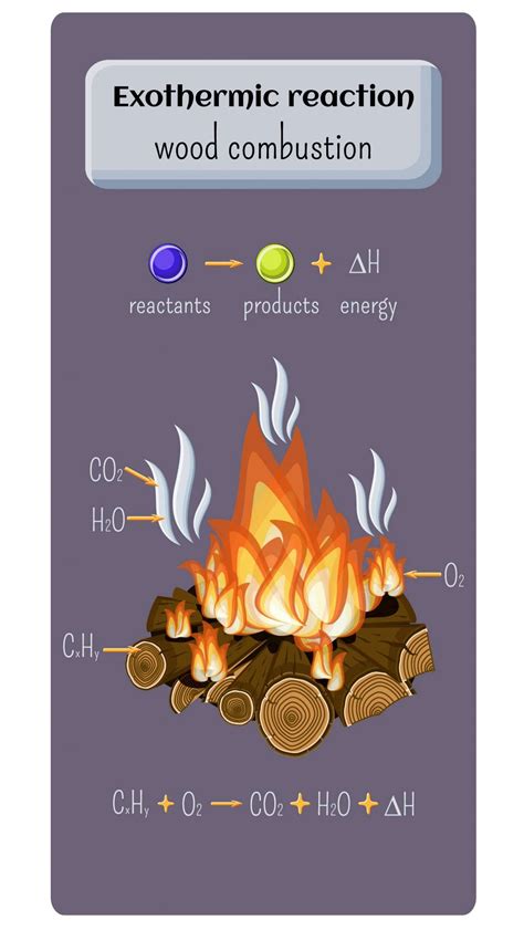 Endothermic Reaction Examples For Kids