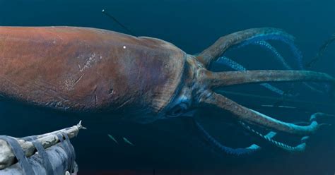 Scientists Found A Giant Squid Deep Down The Ocean - MobyGeek.com