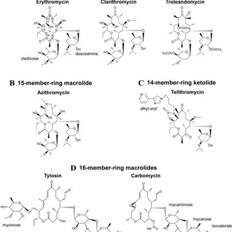 Varying placement of the alkyl–aryl side chain of ketolides in... | Download Scientific Diagram