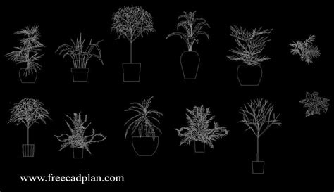 plants in pot 2d cad block - dwg autocad - free cad plan