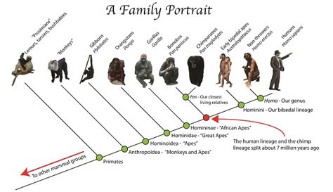 Evolution – it’s a thing! – Insufferable Intolerance