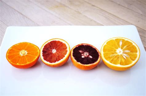 5 Types of Oranges to Know