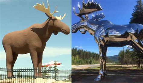 Canada | Norway! Moose Fight! - Blog - K100