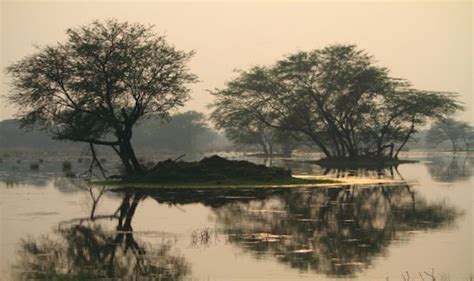 Sultanpur National Park in Haryana is a Birder's Delight | News Travel News, India.com