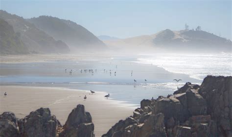 Lincoln City Roads End Beach Ride - Travel Oregon