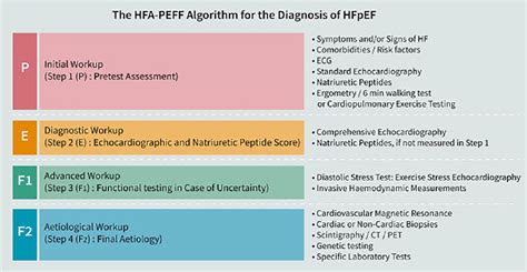 How to diagnose heart failure with preserved ejection fraction: the HFA–PEFF diagnostic ...