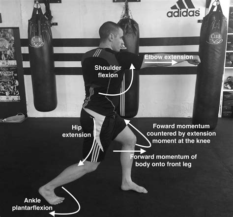 The Biomechanics of a Knockout Punch - The Science Of Striking