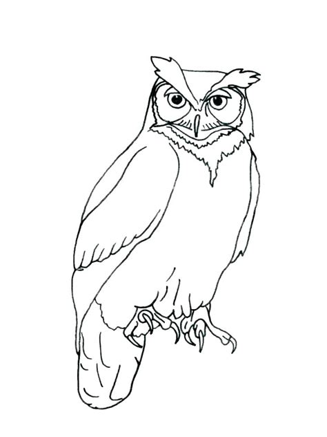 owl drawing outline in 2020 | Owl outline, Owls drawing, Animal outline