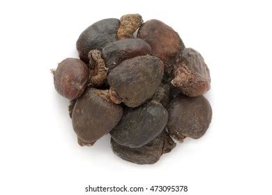 172 Semecarpus Anacardium Images, Stock Photos & Vectors | Shutterstock