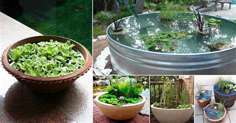 13 Peaceful DIY Container Water Garden Ideas For Container Gardeners ...