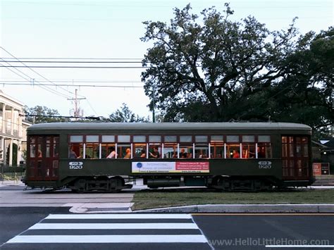 Garden District Walking Tour in New Orleans - Hello Little Home