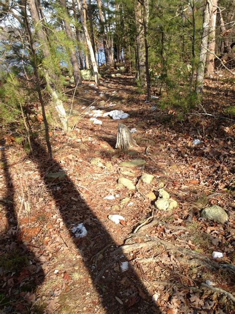 NC BACKCOUNTRY: Badin Lake Loop Trail in Uwharrie National Forest