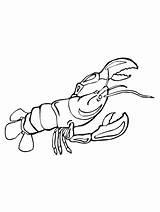 Crayfish coloring page sketch template
