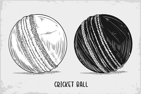 Hand drawn Cricket ball sketch isolated on white background, Detailed vintage etching drawing ...