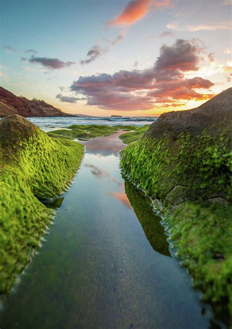 Colors of Maui Photograph by Drew Sulock - Fine Art America