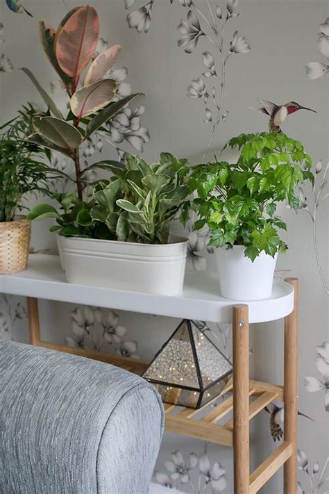 Ikea Satsumas Plant Stand - living room before and after | Romantic ...