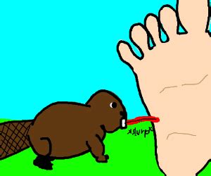 Ugly beaver licks a toe - Drawception