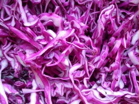 Shredded Red Cabbage | Sustainable food, Cabbage, Red cabbage