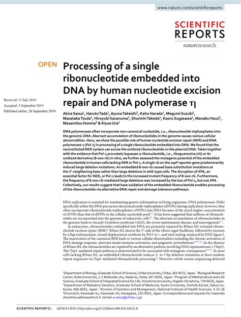 (PDF) Processing of a single ribonucleotide embedded into DNA by human nucleotide excision ...