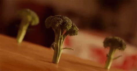 Broccoli Dancing GIF - Broccoli Dancing Dance - Discover & Share GIFs