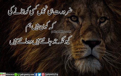 zroret hi nhei ksi ko btaney ki - Attitude Poetry in Urdu - Pak Poetry 24