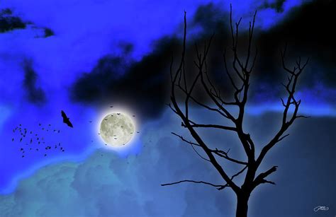 Bats Fly Past The Full Moon In Cloud Filled Night Sky Photograph by ...