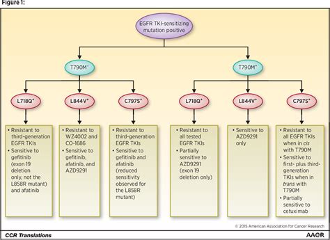 Figure 1 from Emerging Agents and New Mutations in EGFR-Mutant Lung Cancer | Semantic Scholar