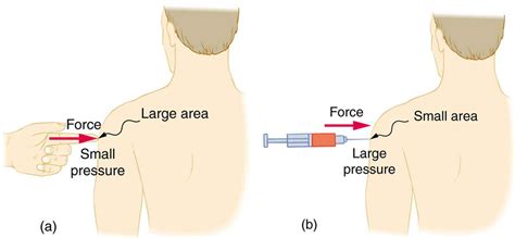 What happens to pressure if it is concentrated into a small area ...