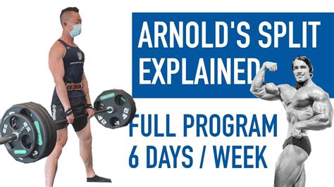 Arnold Schwarzenegger Workout Routine Pdf | Blog Dandk