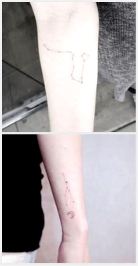 Draco constellation tattoo on the inner forearm. Draco constellation ...