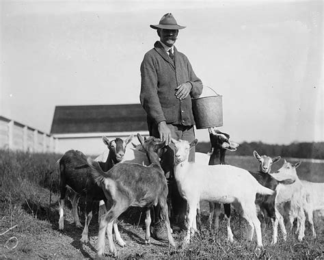 Maryland Goatman: Real Legend of the Old Line State