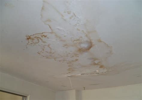 Ceiling Specialists: How To Deal With Ceiling Water Damage & Repair It