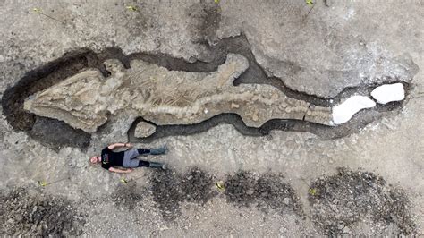 Scientists unearth a 32-foot-long prehistoric ‘sea dragon’ fossil in Britain – SuccessDigest